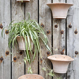 Bergs Potter Daisy Rose Wall Pot