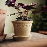 Bergs Potter Københavner Sandstone Pot