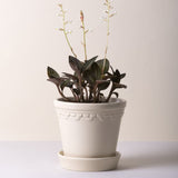Bergs Potter Københavner Sandstone Pot