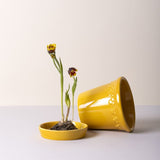 Bergs Potter Københavner Amber Yellow