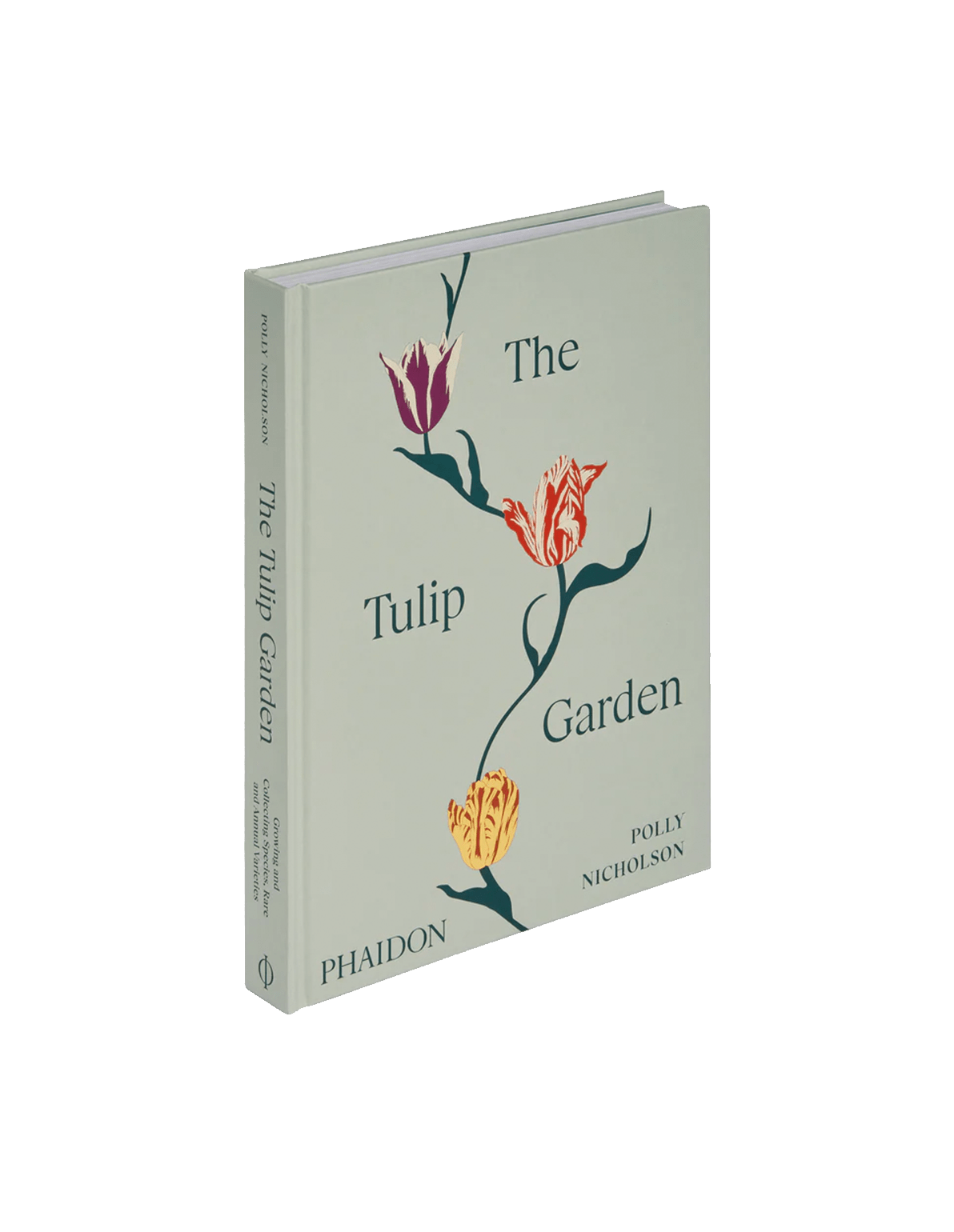 Books31.png?v=1774509725