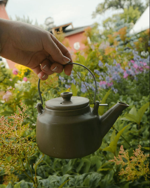 Brown Japanese Porcelain Teapot with Metal Handle and Mesh Strainer