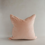 Cotton Velvet Cover Blush