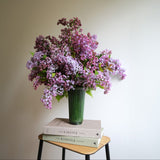 Bergs Potter Daisy Vase