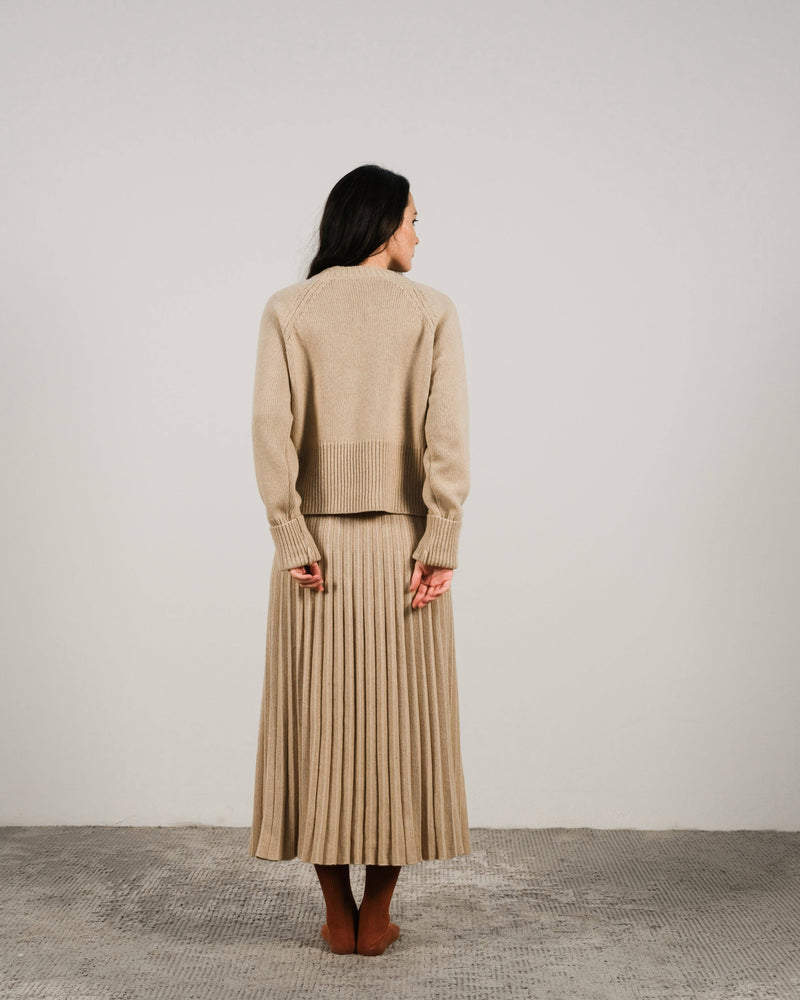 Italian Cashmere Pleated Skirt in Beige