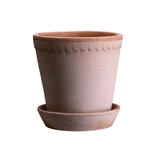 Helena Rose Pot - Faire Living