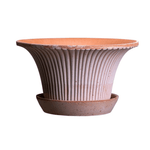 Bergs Potter Daisy Rose Pot - Faire Living