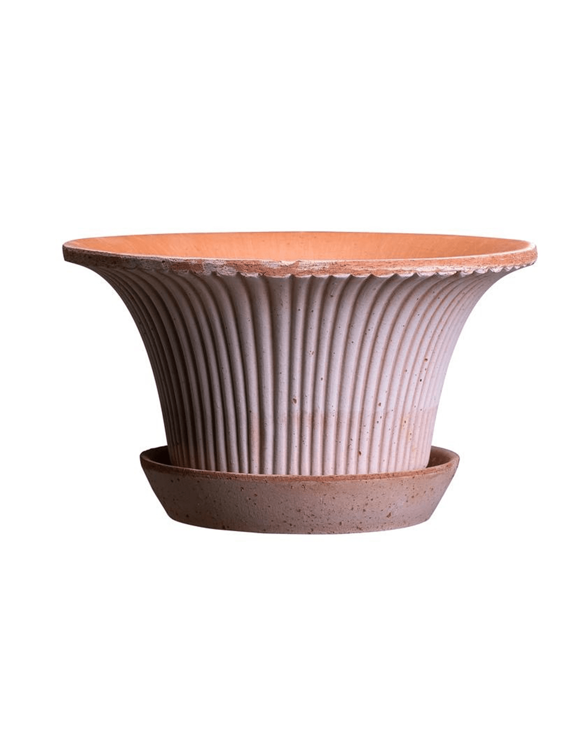 Bergs Potter Daisy Rose Pot - Faire Living