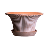 Bergs Potter Daisy Rose Pot - Faire Living