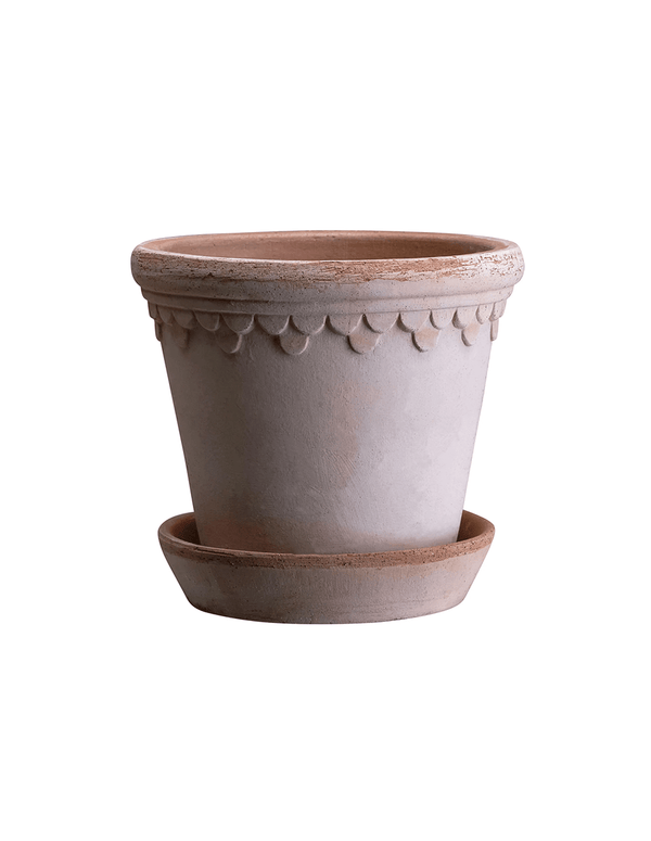 Bergs Potter Københavner Rosa Raw Pot 9.8" - Faire Living