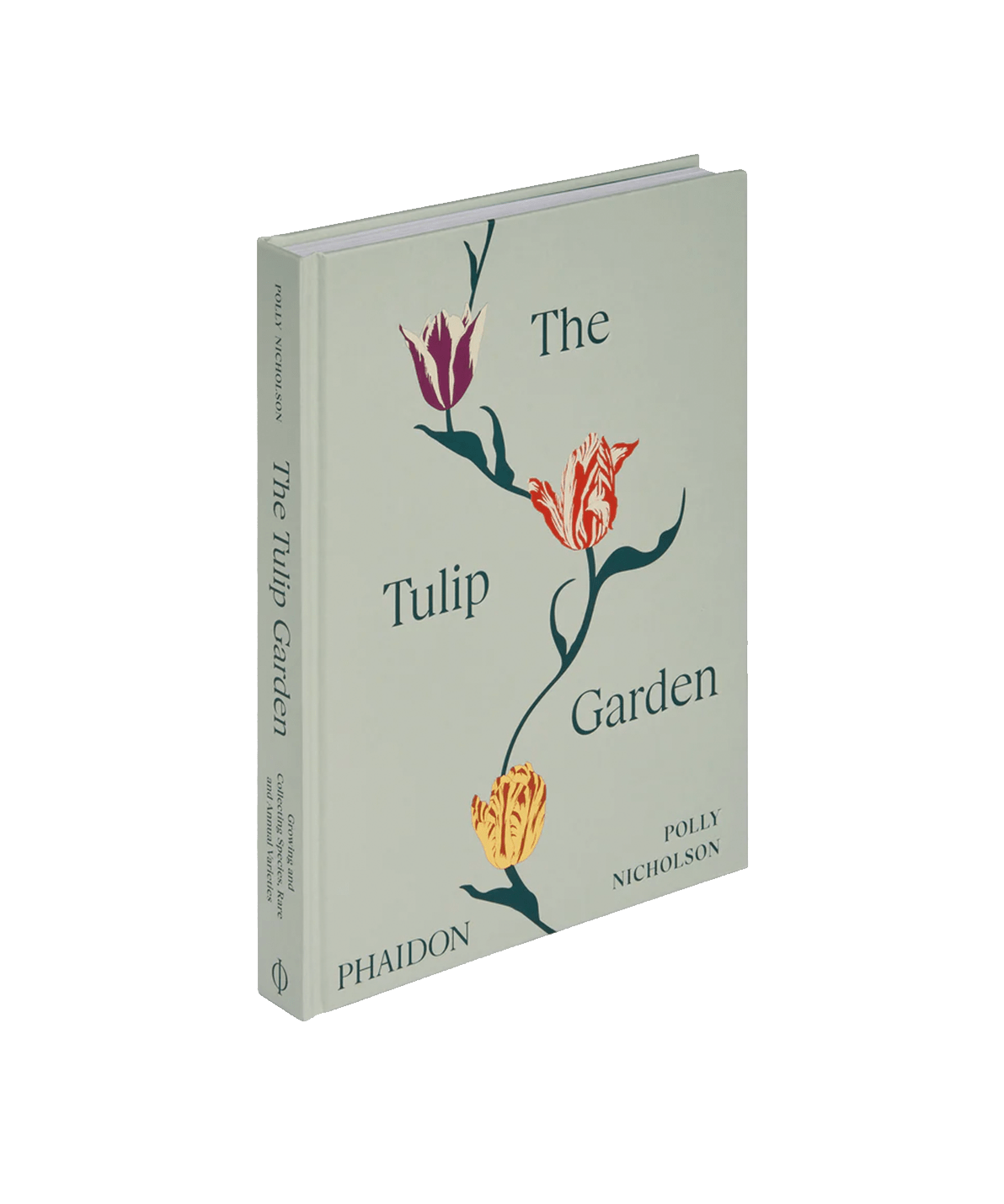 The Tulip Garden: Growing and Collecting Species, Rare and Annual Varieties - Faire Living