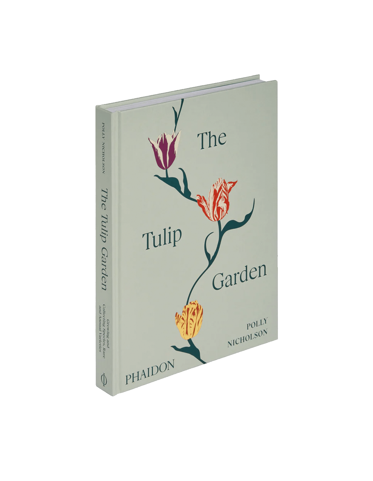 The Tulip Garden: Growing and Collecting Species, Rare and Annual Varieties - Faire Living