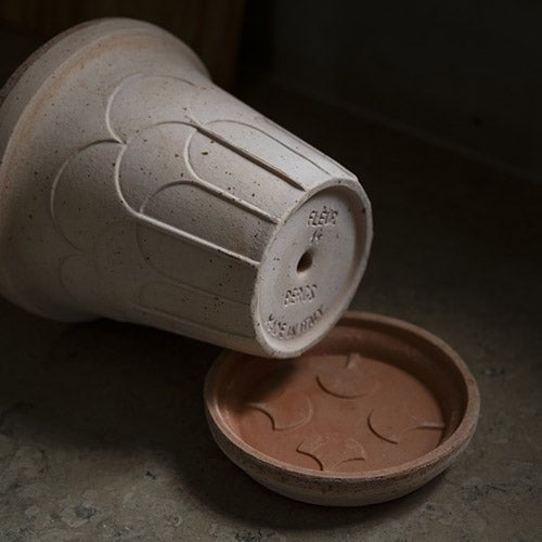 Bergs Potter Fleur Rosa Raw Pot - Faire Living