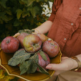 Ferme 12" bowl