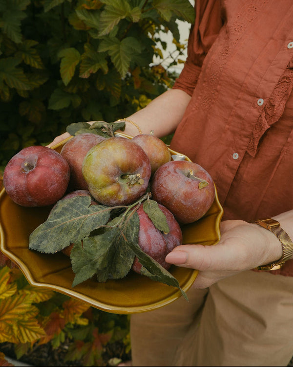 Ferme 12" bowl