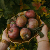 Ferme 12" bowl