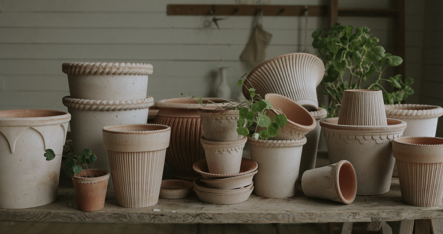 Spring's joyful return