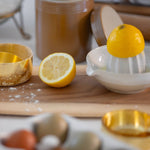 Fattoria White Juice/Citrus Squeezer - Faire Living
