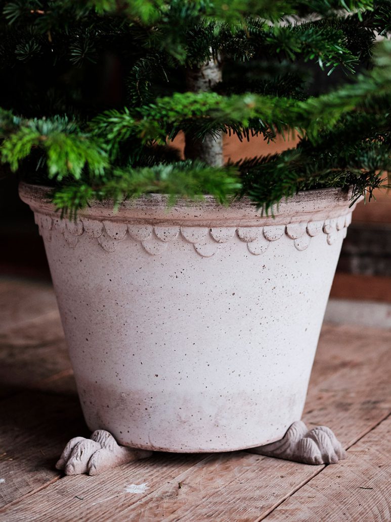 Bergs Potter Lion Paw Pot Feet - Faire Living