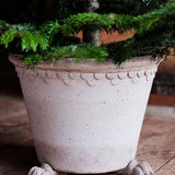 Bergs Potter Lion Paw Pot Feet - Faire Living