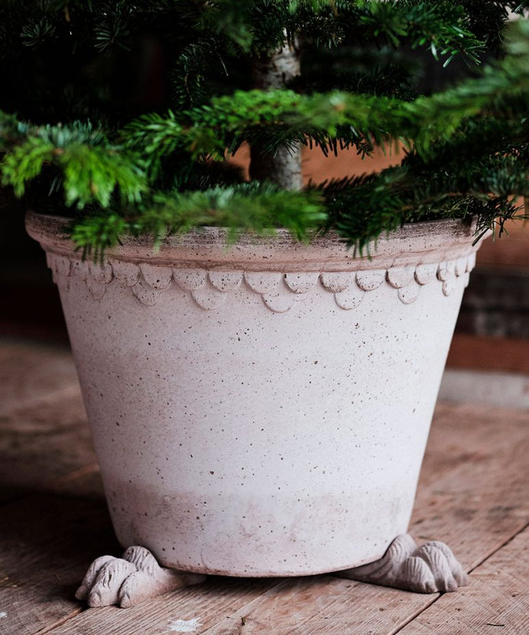 Bergs Potter Lion Paw Pot Feet - Faire Living